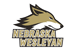 Nebraska Wesleyan University logo
