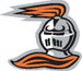 Heidelberg University logo