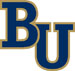 Bethel University logo