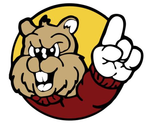 Chatfield High School logo