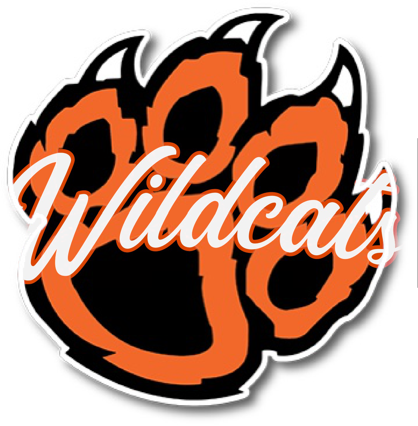 Verona Area logo