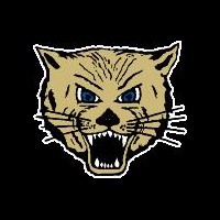 Lake Mills High School logo