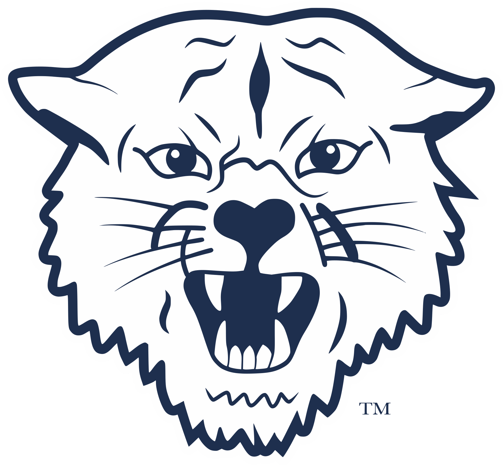 Napoleon High School logo