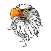 Suring High School logo