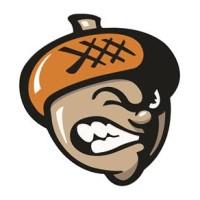Oakfield High School logo
