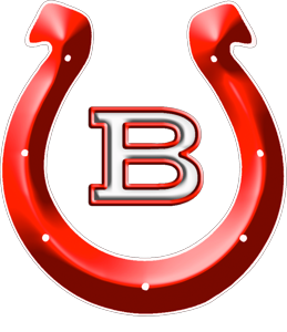 Barrington logo