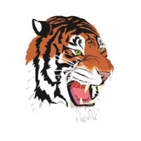 Webster High School logo