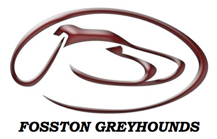Fosston High School logo