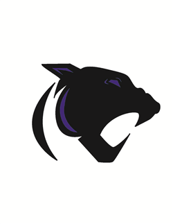 Saint Croix Central High School logo