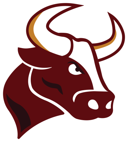 South Saint Paul High School logo