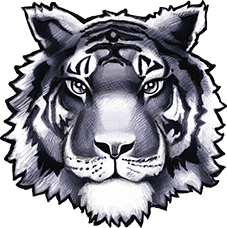 Twinsburg High School logo