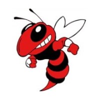 Lincoln High School logo