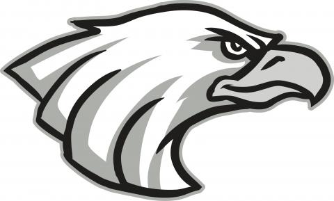 New Ulm High School logo