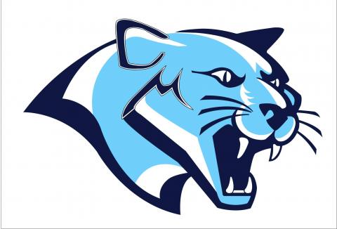 Cedar Mountain Schools logo