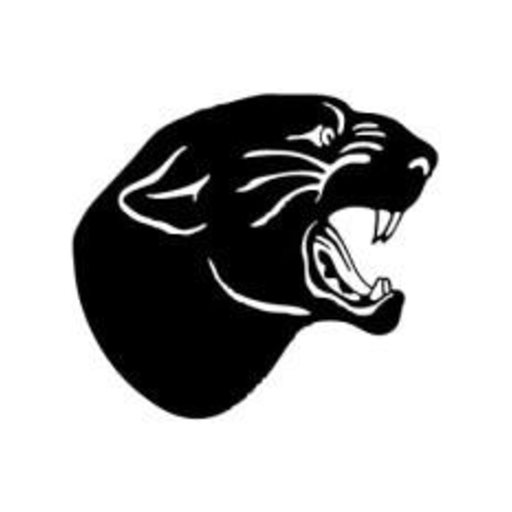 Stevens Point logo