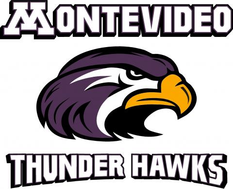 Montevideo High School logo