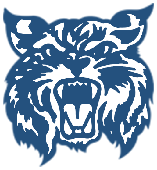 Burr Oak High School logo