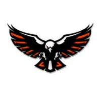 Viroqua High School logo