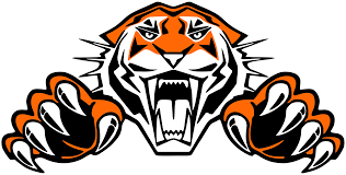 Pine River Backus High School logo