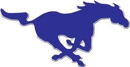 Buffalo Lake-Hector-Stewart High School logo