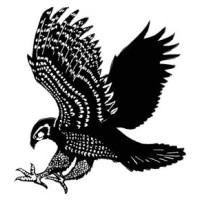 Brookwood High School logo