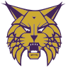 Webster City logo