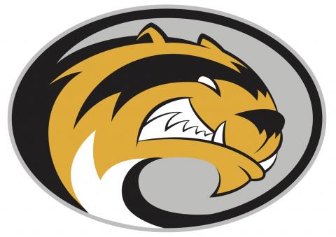 Sibley East High School logo