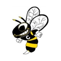 Cadott Senior High School logo