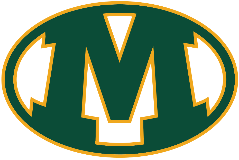 Medina logo