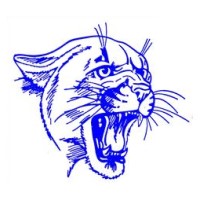 Campbellsport High School logo