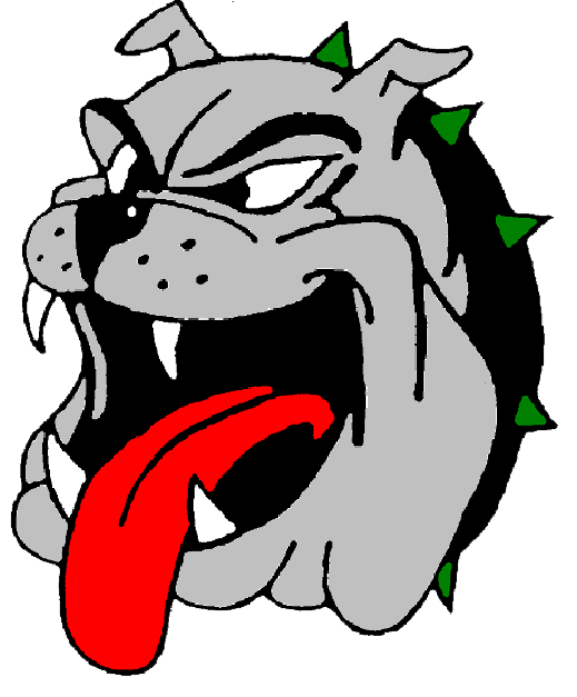 Celina Senior High School logo