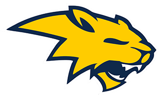 Neuqua Valley logo