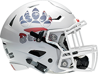 Buchanan High School logo