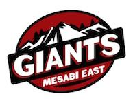 Mesabi East High School logo
