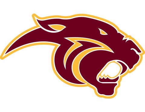 Pine Island High School logo