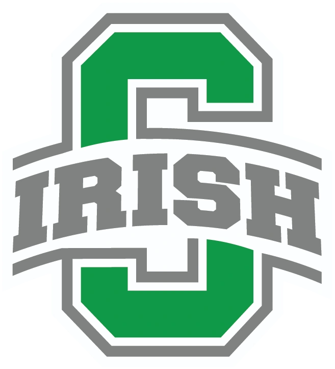 Dublin Scioto High School logo