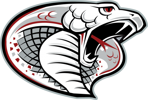 Triton Senior High School logo