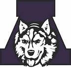 Albany High School logo