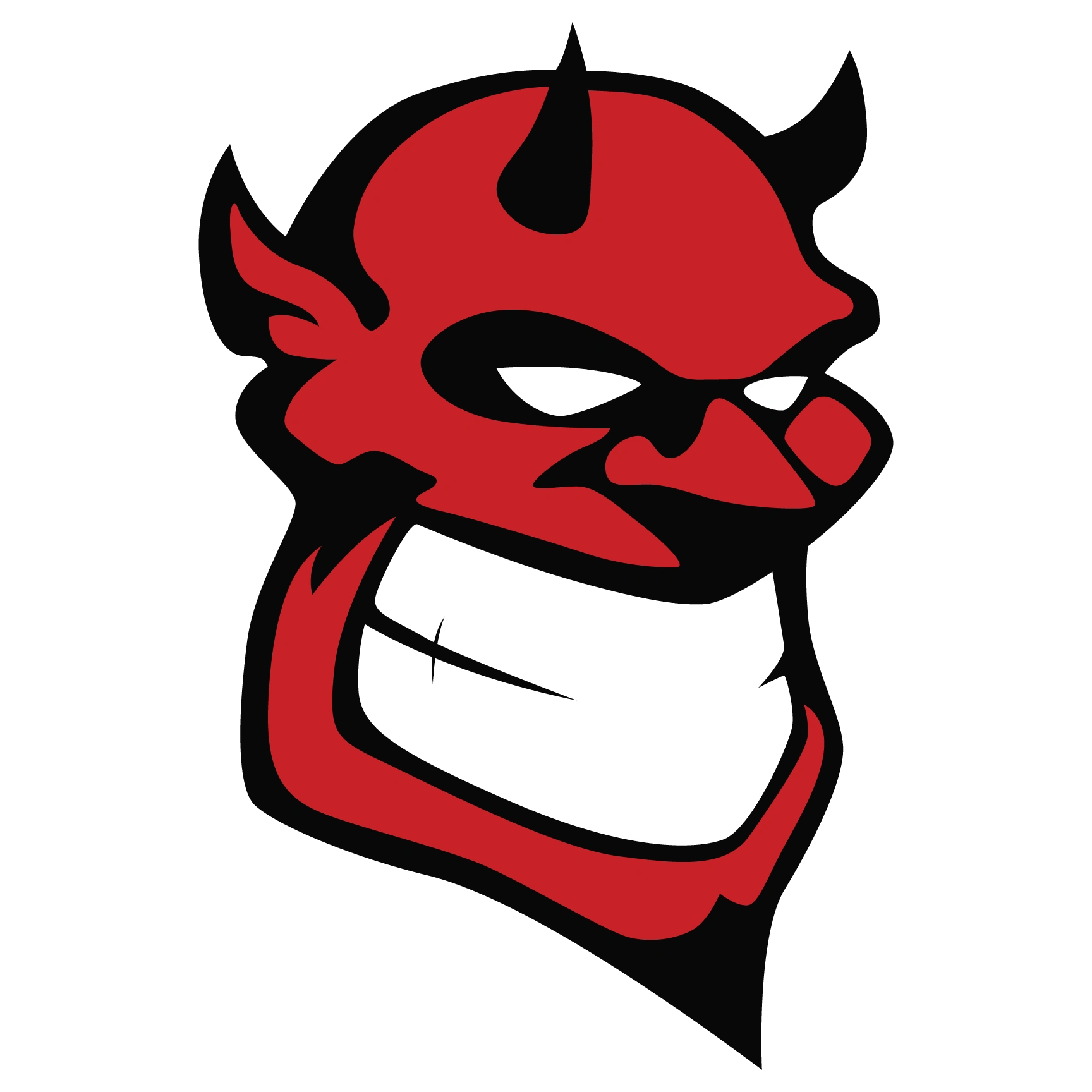 Marion-Franklin logo