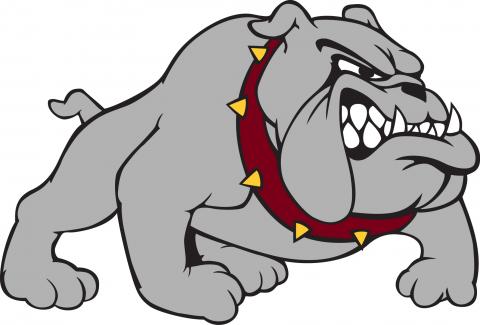 Lester Prairie High School logo