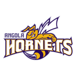 Angola High School logo
