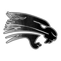 Palmyra-Eagle High School logo