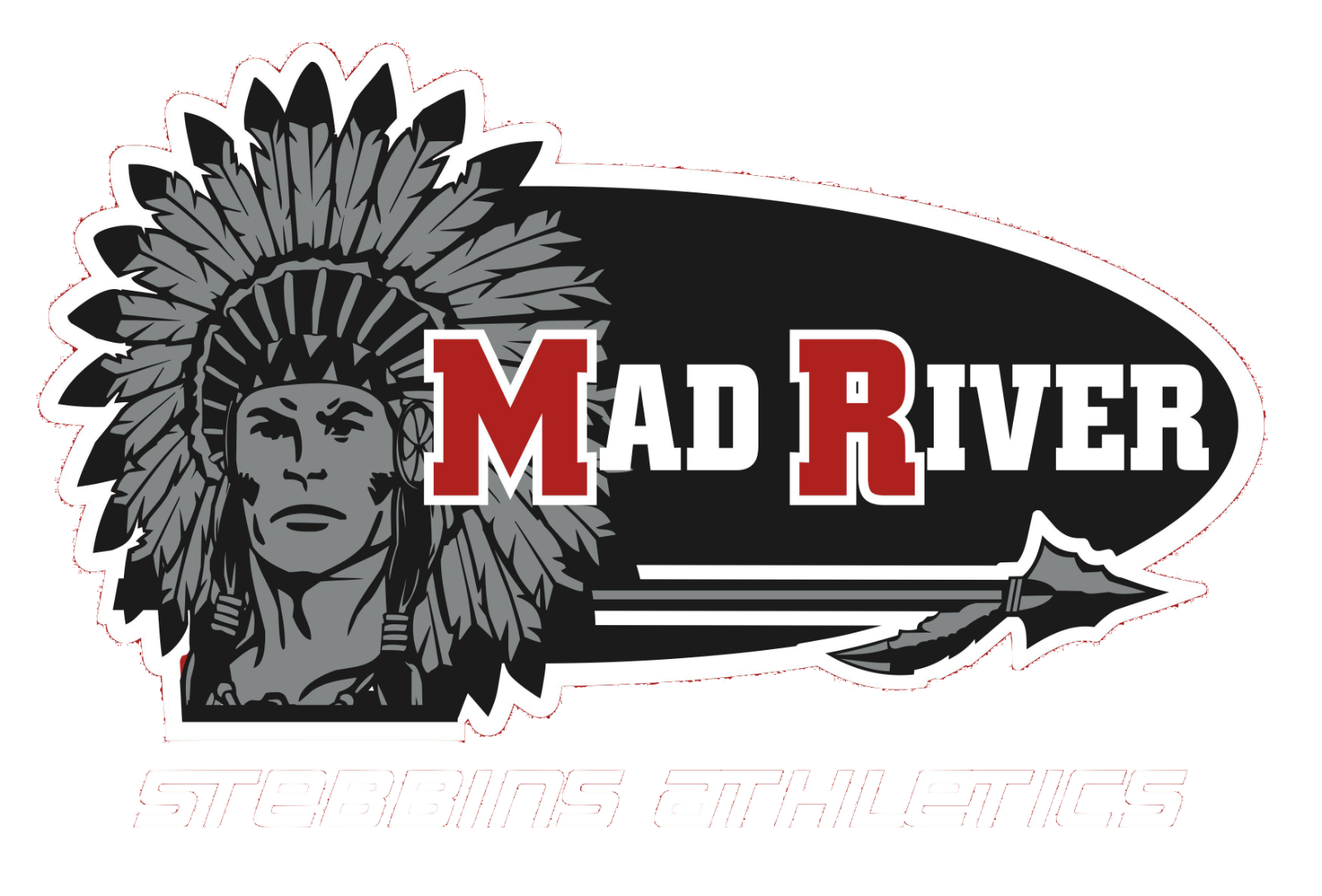 Stebbins High School logo