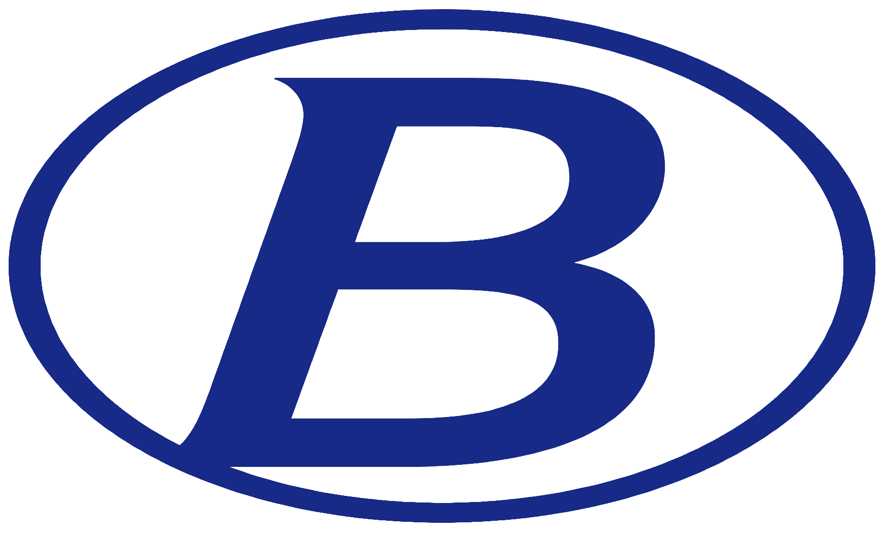 Brunswick Senior High School logo