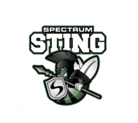 Spectrum High School logo