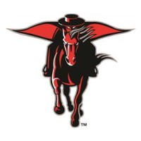 Bruce High School logo