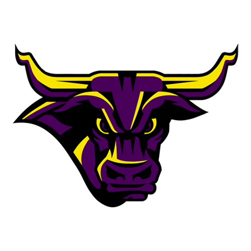 Minnesota State logo