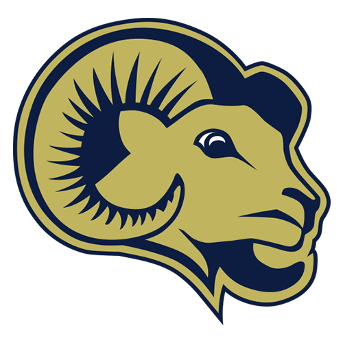 Shepherd logo