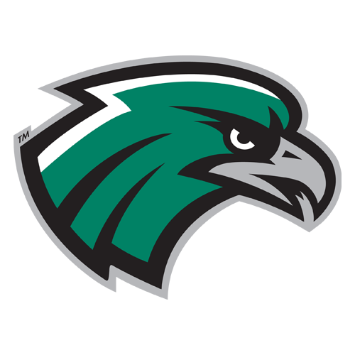 Northeastern State logo