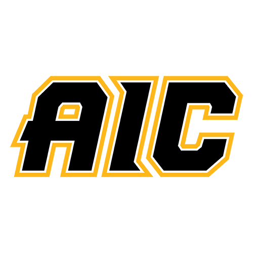 American International logo